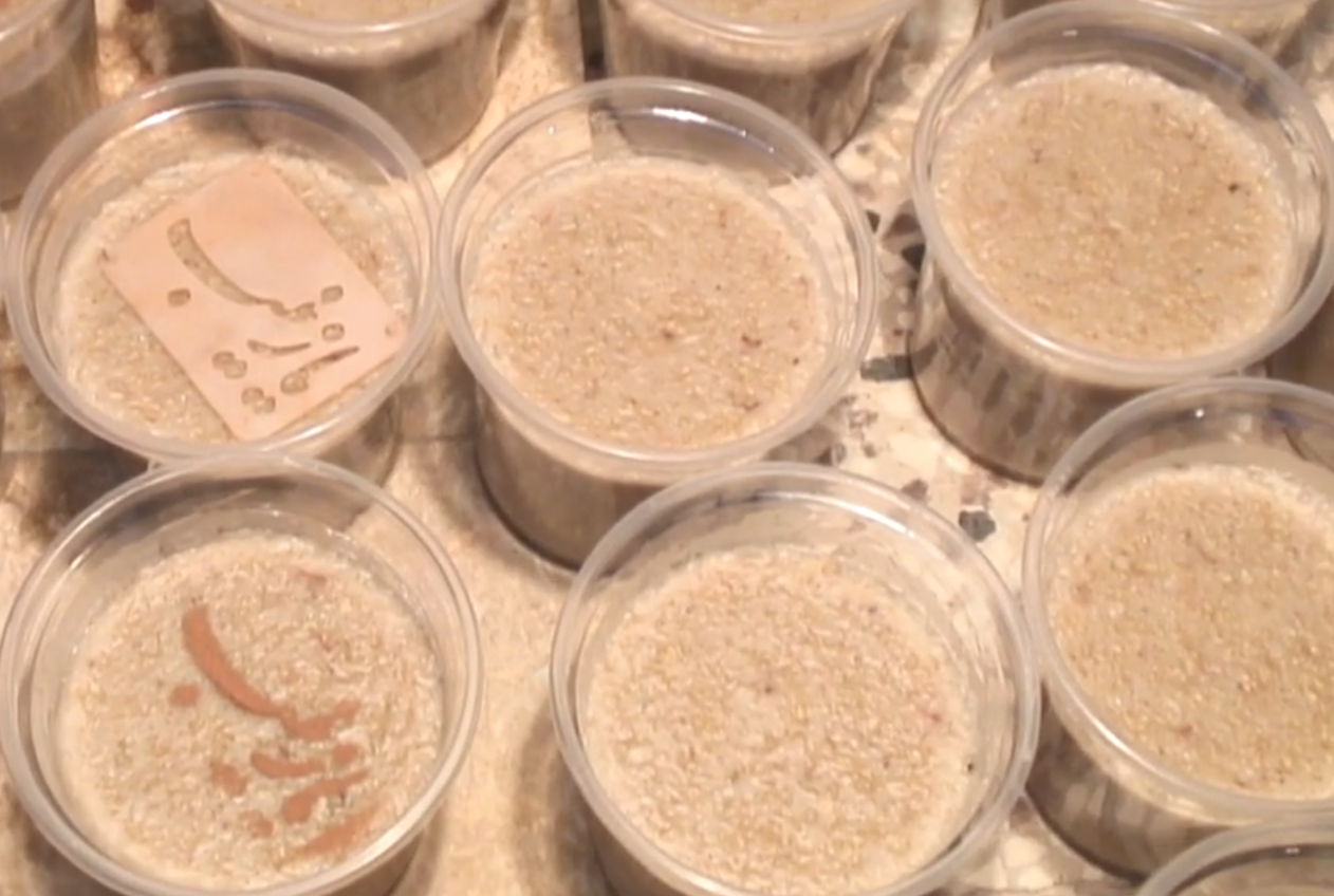 نذری آش و حلیم در غرب تهران | سفارش نذری از کولاژین (۴ شعبه فعال)